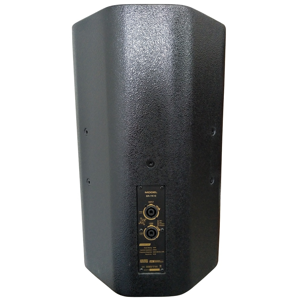 10 inch Speaker BKR BR-YK10