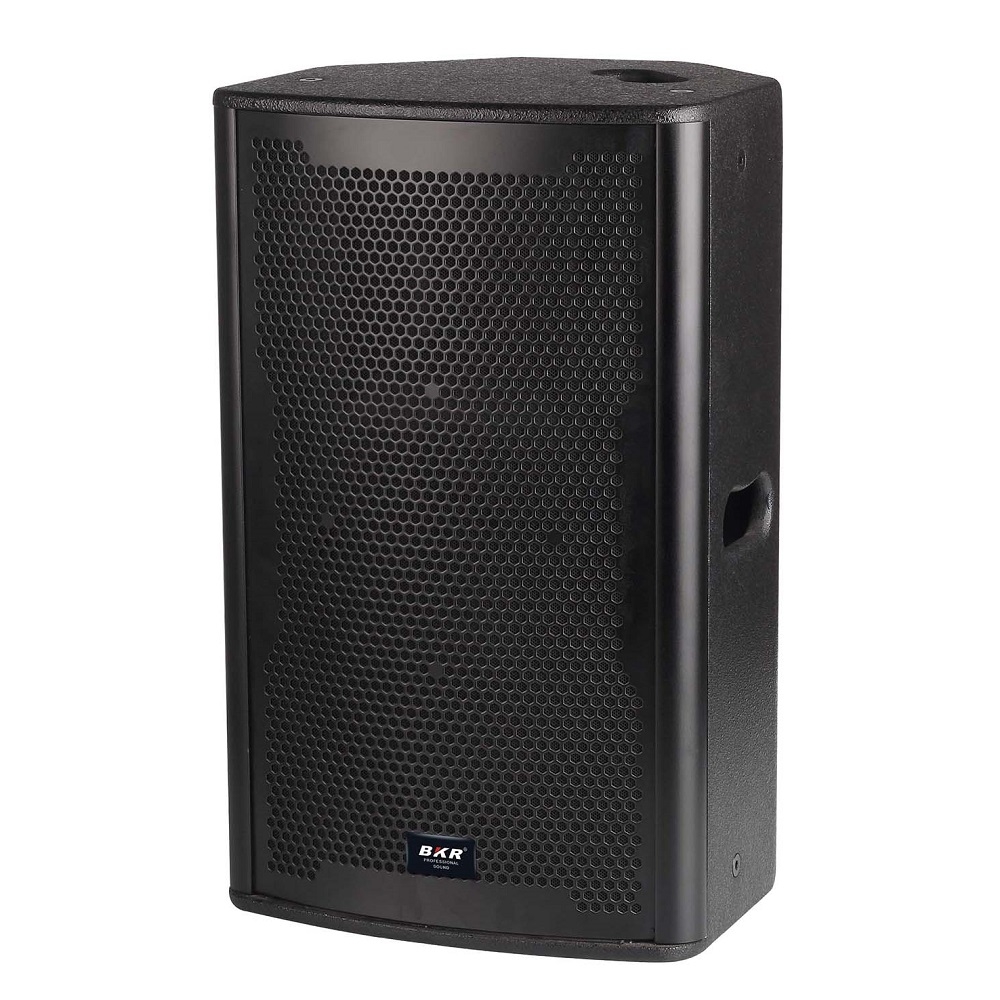 10 inch Speaker BKR BR-YK10